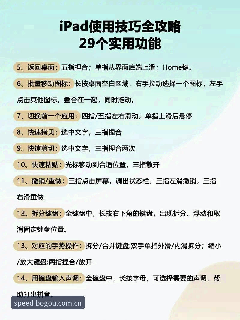 博狗官方平台使用教程：从新手到老手的完整操作指南